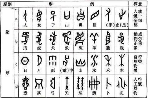 竹 造字法則|六書說:古人把漢字的造字方法歸納為六種，總稱“六。